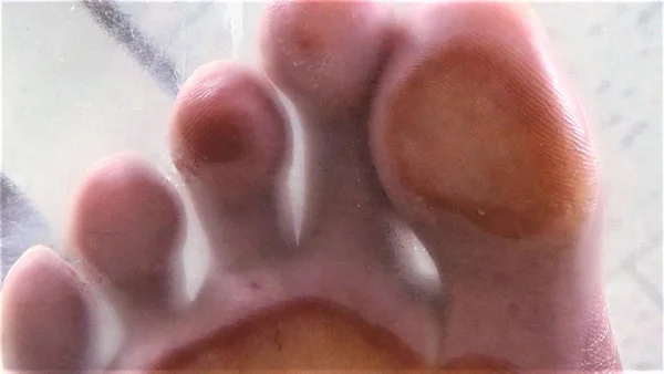 【足のにおい】セレブ・ドSの肉肉臭-1