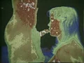 女性の神秘-5