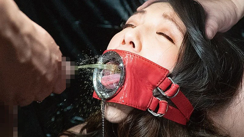 変態インストール覚醒ダッチワイフ 藍川美夏-6