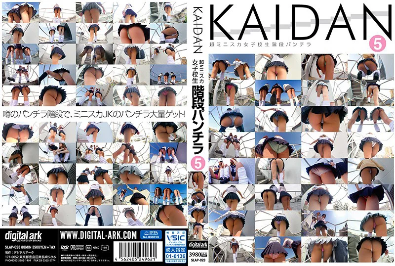 KAIDAN 超ミニスカ女子○生階段パンチラ5