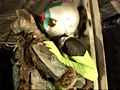 ミラーレディー-8