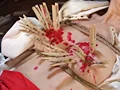 熟女倒錯大全1-12