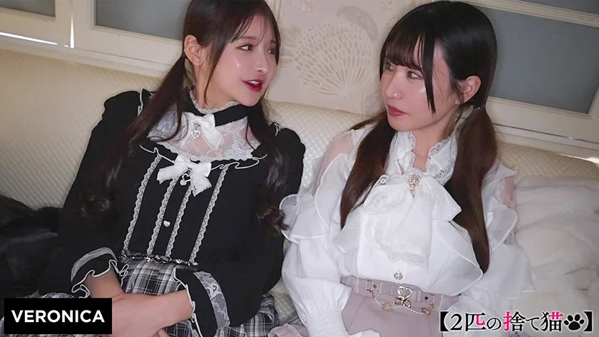 H.I.&G.N.-2