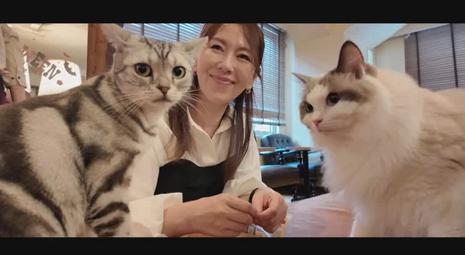 【再販】【ハメ撮り】翔田さんと猫カフェデートの後はホテルで…。