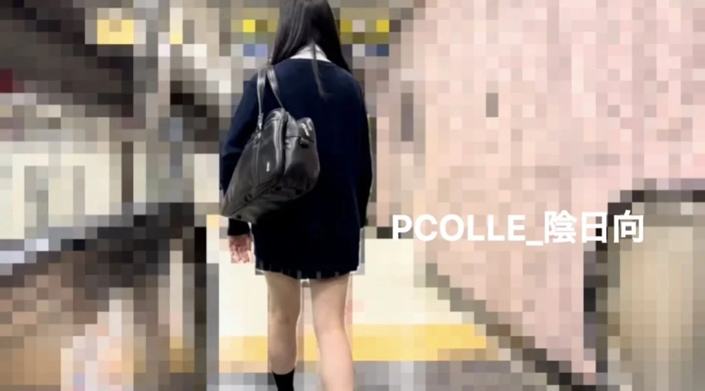 陰日向Vol.18 風のせいでダサい綿パンツが丸見えJK（逆さ撮り・ライトアップ・めくり）【５日分】-4